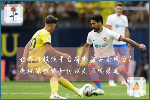 世界杯投注平台有哪些安全风险？老玩家教你如何识别正规渠道