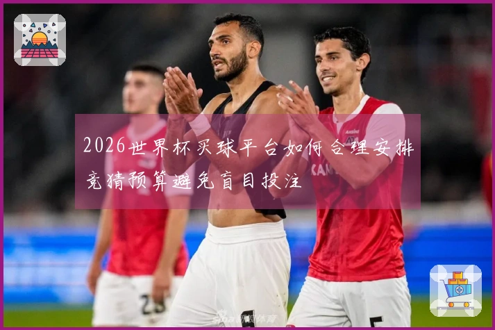 2026世界杯买球平台如何合理安排竞猜预算避免盲目投注