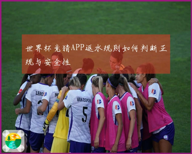 世界杯竞猜APP返水规则如何判断正规与安全性