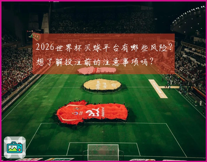 2026世界杯买球平台有哪些风险？想了解投注前的注意事项吗？