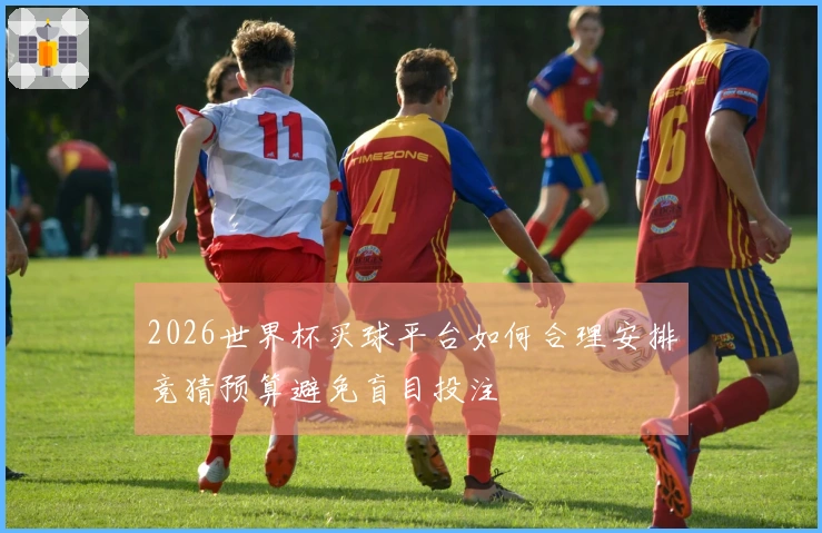 2026世界杯买球平台如何合理安排竞猜预算避免盲目投注