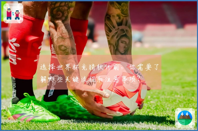 选择世界杯竞猜软件前，你需要了解哪些关键流程和注意事项？