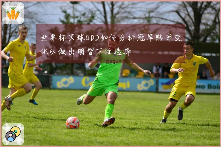 世界杯买球app如何分析冠军赔率变化以做出明智下注选择