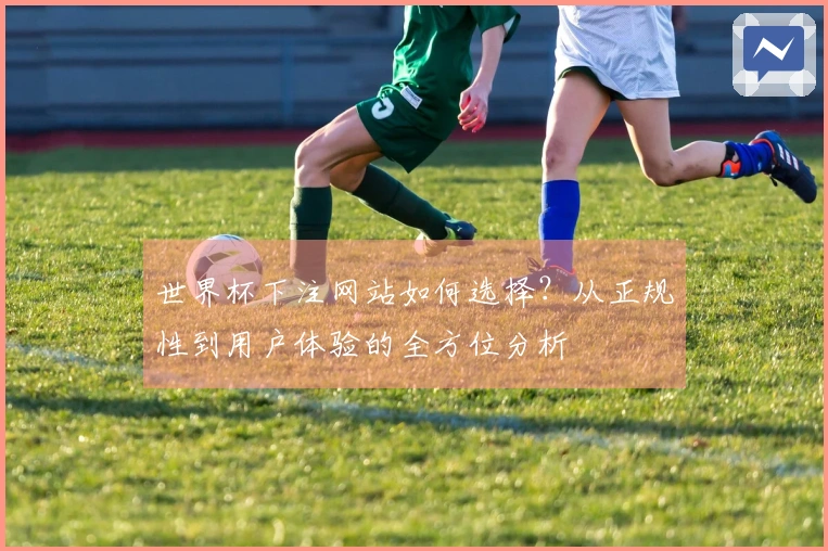 世界杯下注网站如何选择？从正规性到用户体验的全方位分析