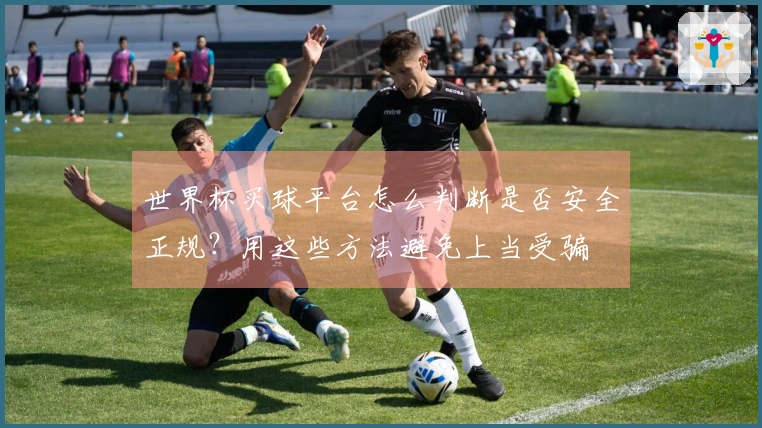 世界杯买球平台怎么判断是否安全正规？用这些方法避免上当受骗